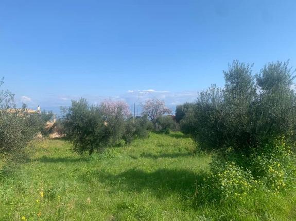 Parcel 4.500 sqm for sale, Messinia, Koroni