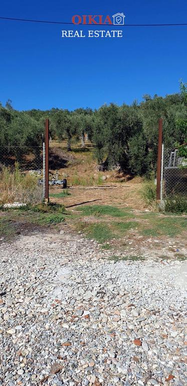 Οικόπεδο 1.775 τ.μ. πρός πώληση, Μαγνησία, Αργαλαστή