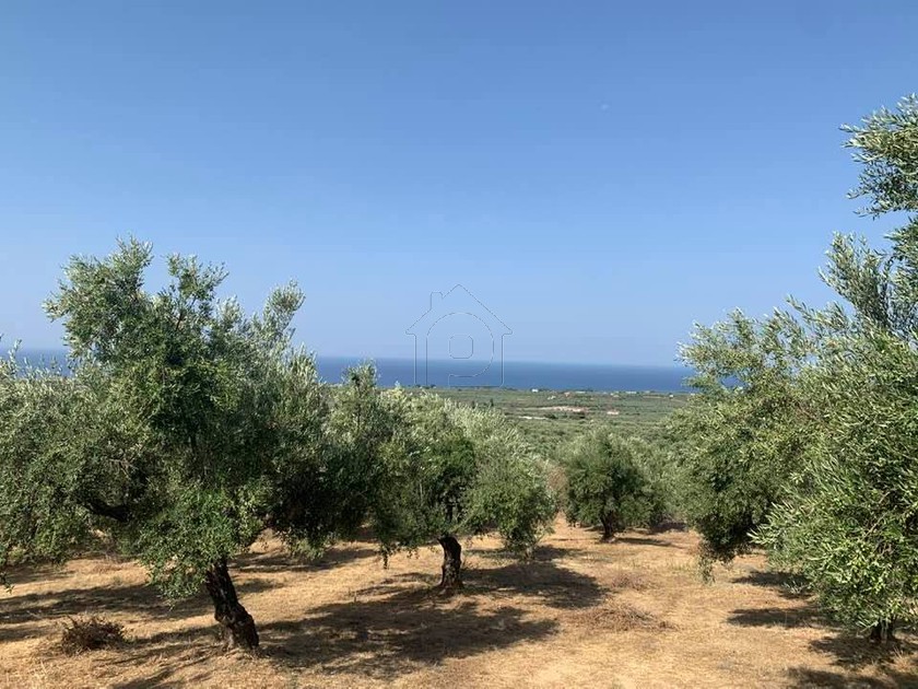 Αγροτεμάχια 8.000τ.μ. για πώληση-Γαργαλιάνοι » Τραγάνα