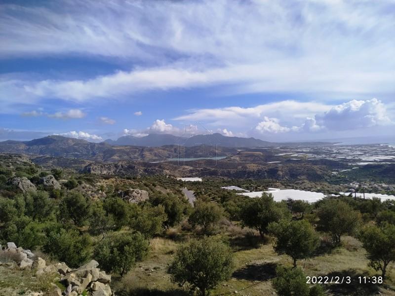 Αγροτεμάχια 1.500 τ.μ. πρός πώληση, Ν. Λασιθίου, Ιεράπετρα