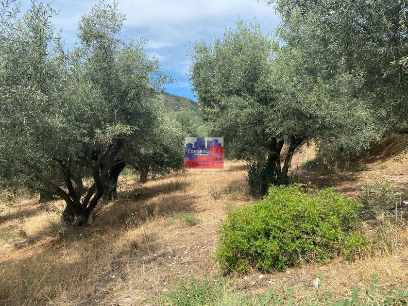 Οικόπεδο 1.930 τ.μ. για πώληση