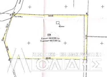 Αγροτεμάχια 6.615τ.μ. για πώληση-Πανόραμα
