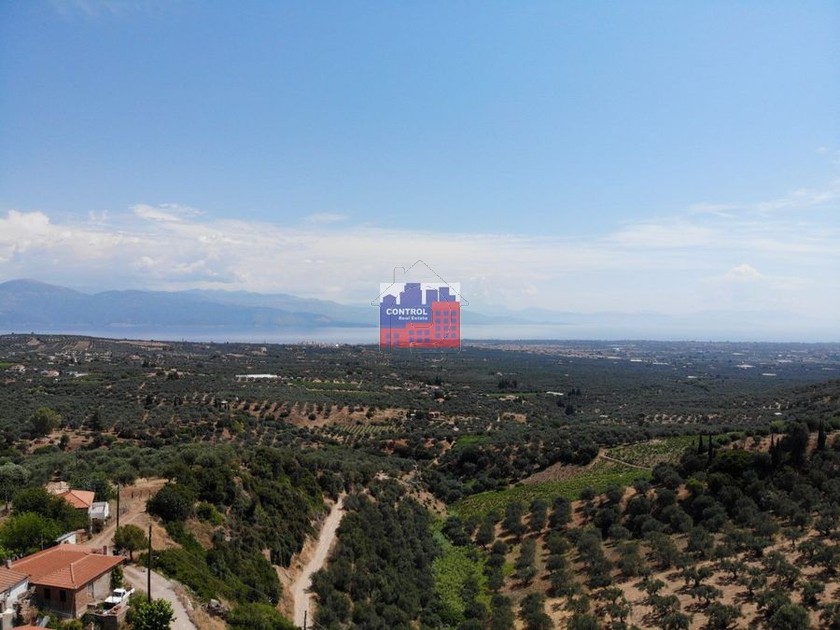 Αγροτεμάχια 19.200 τ.μ. για πώληση