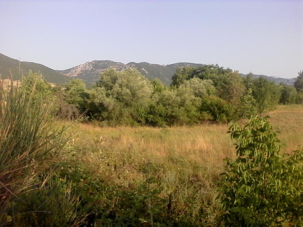 Αγροτεμάχια 800 τ.μ. προς πώληση, Καστέλλια