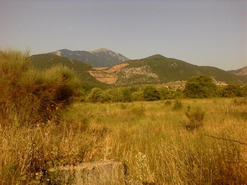 Αγροτεμάχια 800 τ.μ. προς πώληση, Καστέλλια