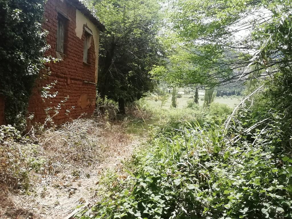 Οικόπεδο 1.500 τ.μ. προς πώληση, Καστέλλια