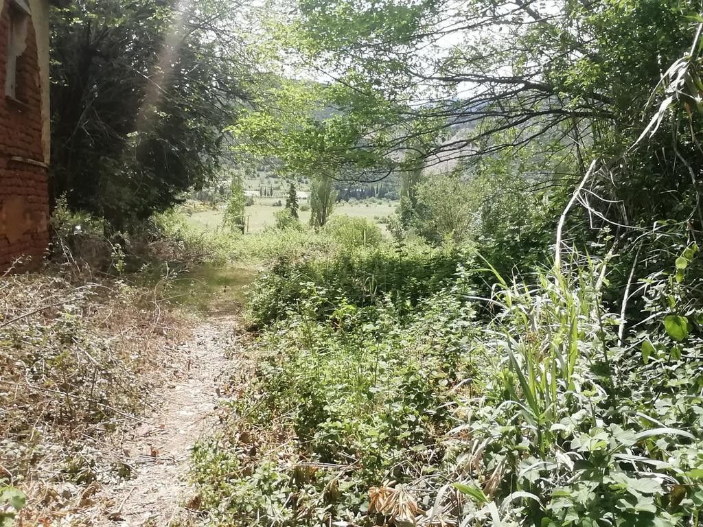 Οικόπεδο 1.500 τ.μ. προς πώληση, Καστέλλια