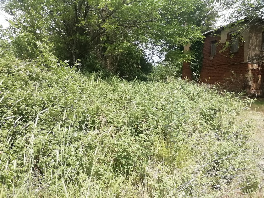 Land plot 1.500 sqm for sale