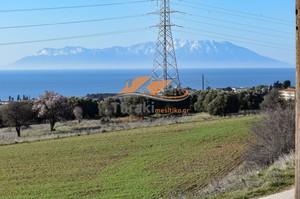 Αγροτεμάχια 2.650 τ.μ. για πώληση