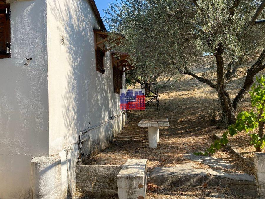 Μονοκατοικία 50 τ.μ. προς πώληση, Άλσος Αιγιάλειας