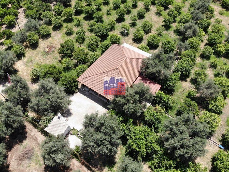Μονοκατοικία 83 τ.μ. προς πώληση, Λόγγος Αιγιάλειας