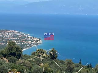 Αγροτεμάχια 2.850 τ.μ. για πώληση