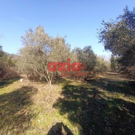 Land plot 8.000 sqm for sale, Kavala Prefecture, Paggaio