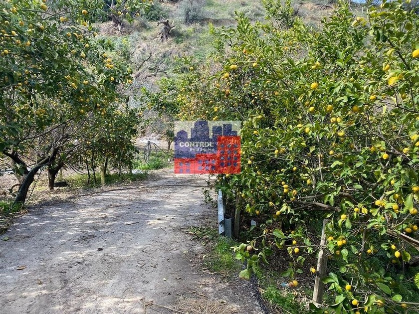 Parcel 6.000 sqm for sale