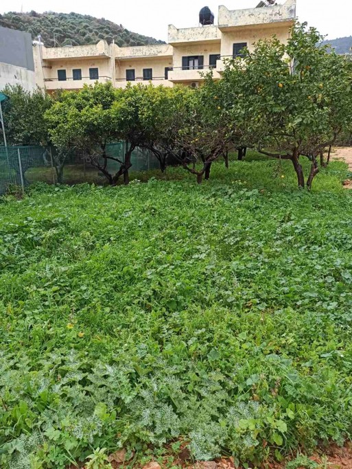 Οικόπεδο 300 τ.μ. για πώληση