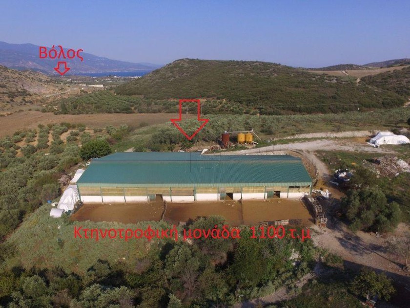 Βιομηχανικός χώρος 1.100 τ.μ. για πώληση
