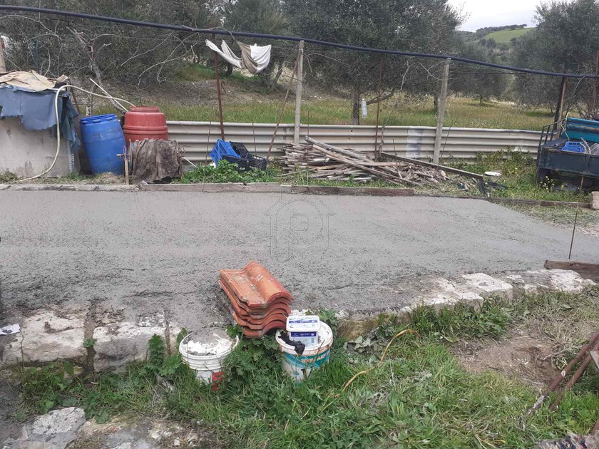 Αγροτεμάχια 11.000 τ.μ. για πώληση