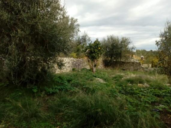 Οικόπεδο 340 τ.μ. πρός πώληση, Ν. Κέρκυρας, Παξοί