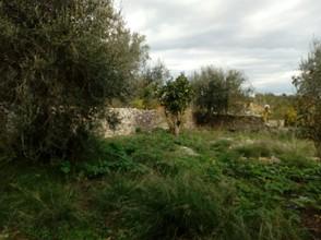 Οικόπεδο 340 τ.μ. για πώληση, Ν. Κέρκυρας, Παξοί-thumb-2