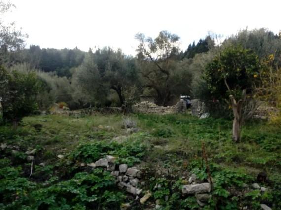 Οικόπεδο 340 τ.μ. πρός πώληση, Ν. Κέρκυρας, Παξοί