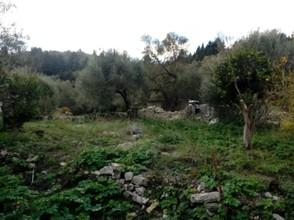 Οικόπεδο 340 τ.μ. για πώληση, Ν. Κέρκυρας, Παξοί-thumb-4