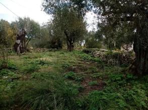 Οικόπεδο 340 τ.μ. για πώληση, Ν. Κέρκυρας, Παξοί-thumb-5