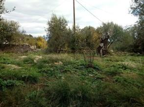 Οικόπεδο 340 τ.μ. για πώληση, Ν. Κέρκυρας, Παξοί-thumb-6
