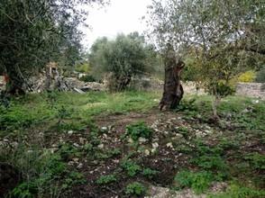 Οικόπεδο 340 τ.μ. για πώληση, Ν. Κέρκυρας, Παξοί-thumb-7