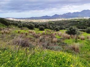 Αγροτεμάχια 4.500 τ.μ. πρός πώληση, Ν. Ρεθύμνου, Γεροπόταμος-thumb-1