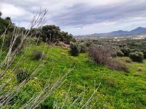 Αγροτεμάχια 4.500 τ.μ. πρός πώληση, Ν. Ρεθύμνου, Γεροπόταμος-thumb-3
