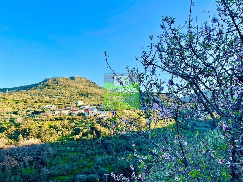 Land plot 873sqm for sale-Kissamos » Grigoriana