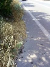 Land plot 330 sqm for sale