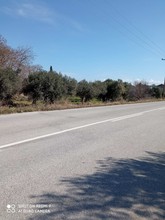 Αγροτεμάχια 1.700τ.μ. για πώληση-Σιθωνία » Άγιος νικόλαος
