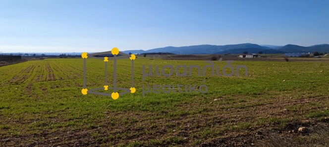 Αγροτεμάχια 10.000τ.μ. για πώληση-Αλεξανδρούπολη » Άβαντας