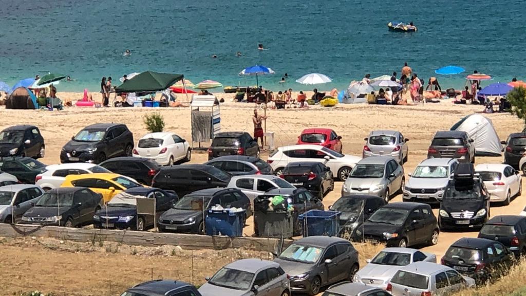 Οικόπεδο 5.000 τ.μ. πρός πώληση, Εύβοια, Δύστος