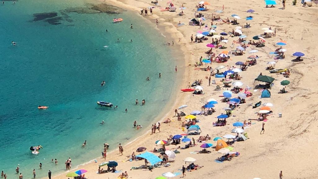 Οικόπεδο 5.000 τ.μ. πρός πώληση, Εύβοια, Δύστος