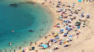 Οικόπεδο 5.000 τ.μ. προς πώληση, Άγιοι Απόστολοι Δύστου-thumb-2