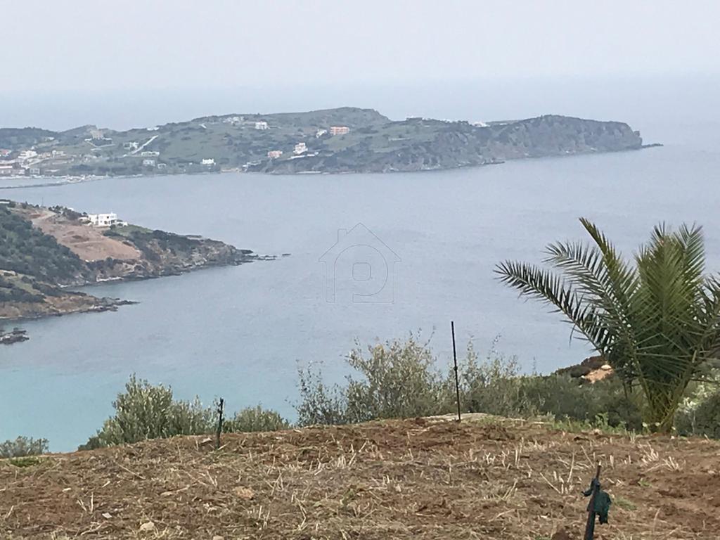 Οικόπεδο 21.000 τ.μ. πρός πώληση, Εύβοια, Δύστος