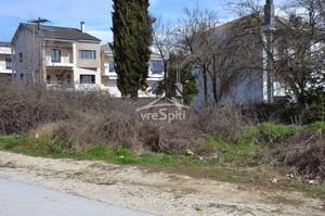 Οικόπεδο 1.688 τ.μ. για πώληση, Ν. Ιωαννίνων, Ανατολή-thumb-14