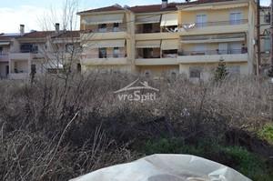 Οικόπεδο 1.688 τ.μ. για πώληση, Ν. Ιωαννίνων, Ανατολή-thumb-20
