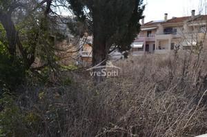 Οικόπεδο 1.688 τ.μ. για πώληση, Ν. Ιωαννίνων, Ανατολή-thumb-21