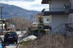 Οικόπεδο 1.688 τ.μ. για πώληση, Ν. Ιωαννίνων, Ανατολή-thumb-29