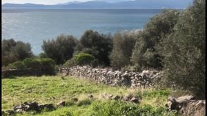 Οικόπεδο 5.000 τ.μ. για πώληση, Εύβοια, Δύστος-thumb-2