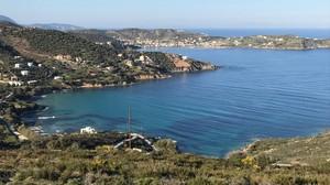 Οικόπεδο 5.200 τ.μ. για πώληση