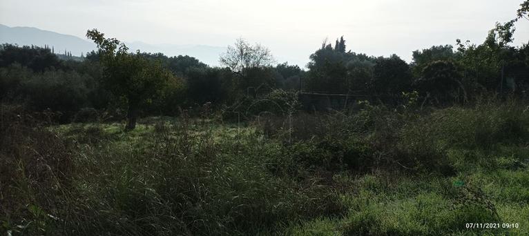Οικόπεδο 960 τ.μ. για πώληση, Μεσσηνία, Ανδρούσα