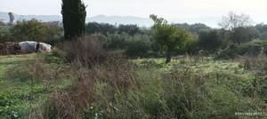 Οικόπεδο 960 τ.μ. για πώληση, Μεσσηνία, Ανδρούσα-thumb-2