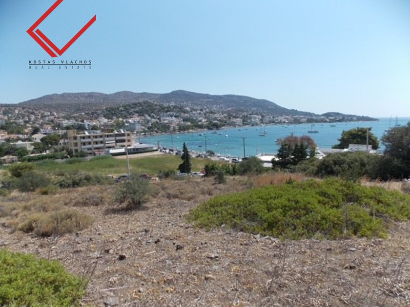 Οικόπεδο 2.595τ.μ. για πώληση-Μαρκόπουλο » Πόρτο ράφτη