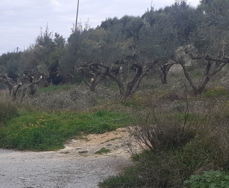 Land plot 785sqm for sale-Heraclion Cretes » Mesabelies