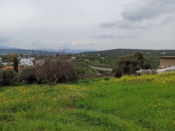 Land plot 654 sqm for sale
