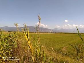 Parcel 10.000sqm for sale-Messini » Mavrommati